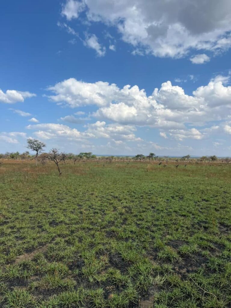 whatsapp image 2025 12 18 at 1.43.52 pm